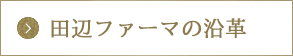 田辺ファーマの沿革