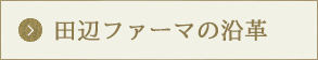 田辺ファーマのあゆみ