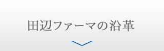 田辺ファーマのあゆみ