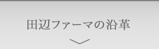 田辺ファーマの沿革